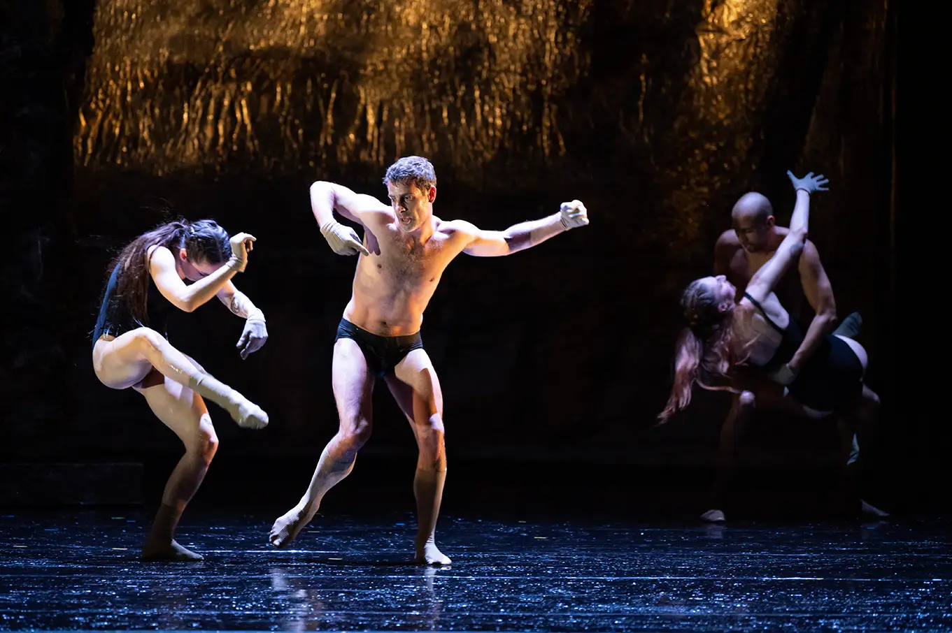 208.dindon.et.enée blanca.li dan.aucante2023