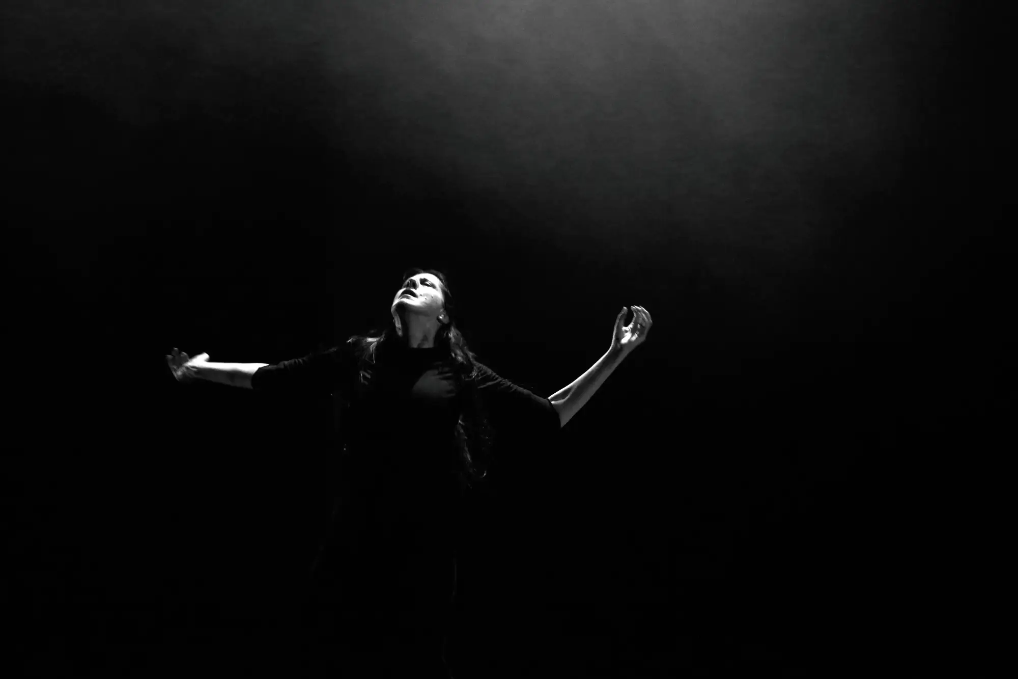 paraiso negros dsr 34