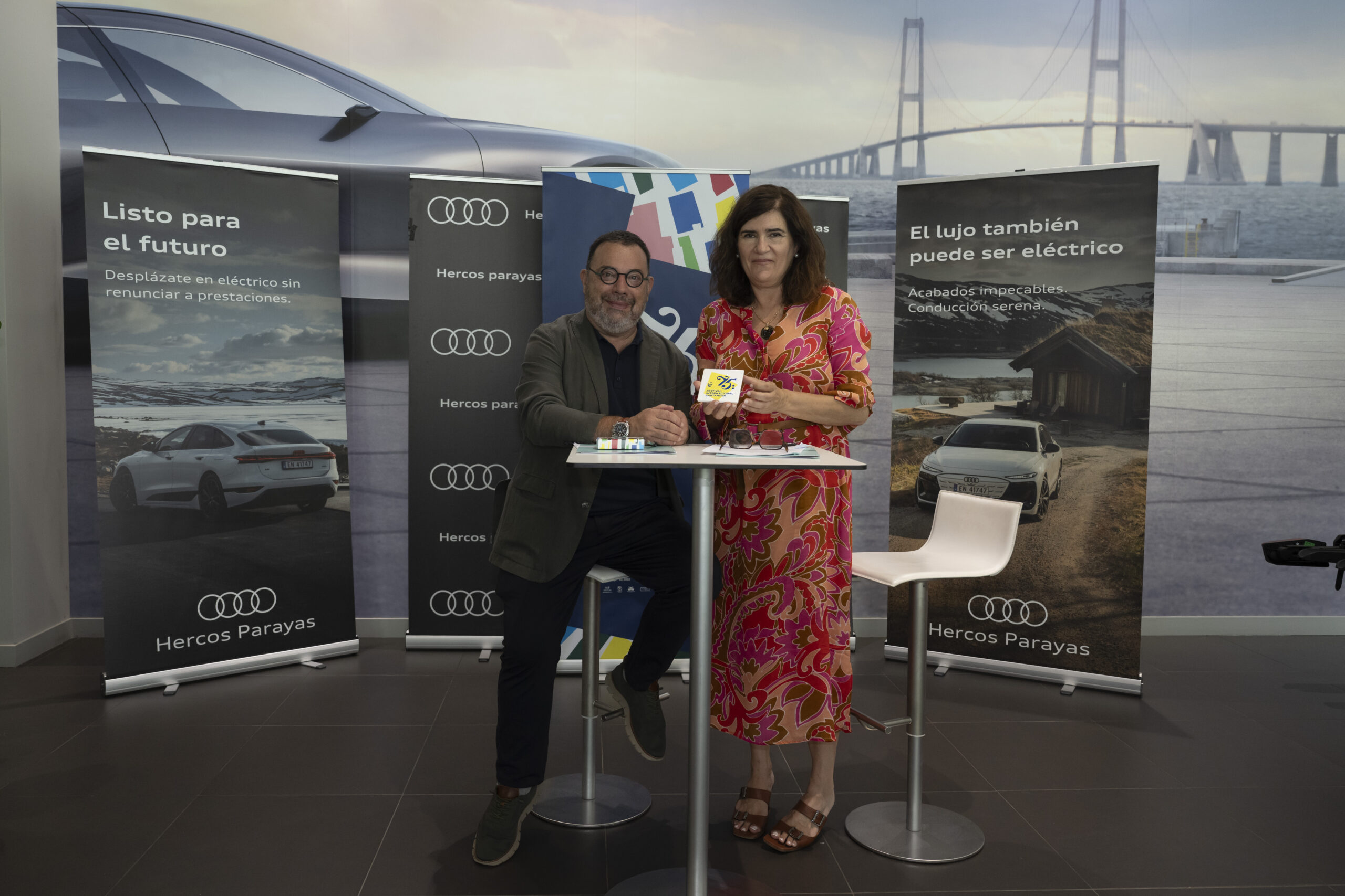 firma audi fis (6)